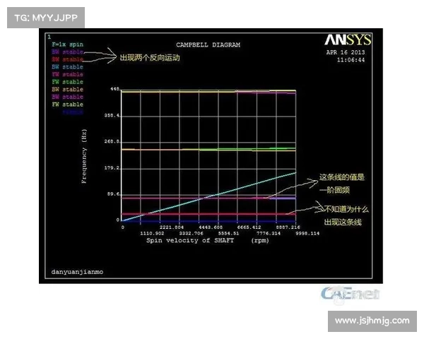从坎贝尔场上站位透视五大关键角色作用与战术价值的全面深度解析